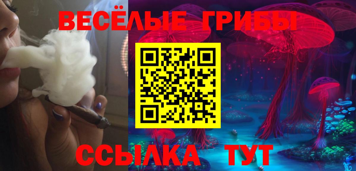 Новоалтайск  Галлюциногенные грибы Cubensis  Псилоцибиновые грибы Cubensis  Вход с VPN 